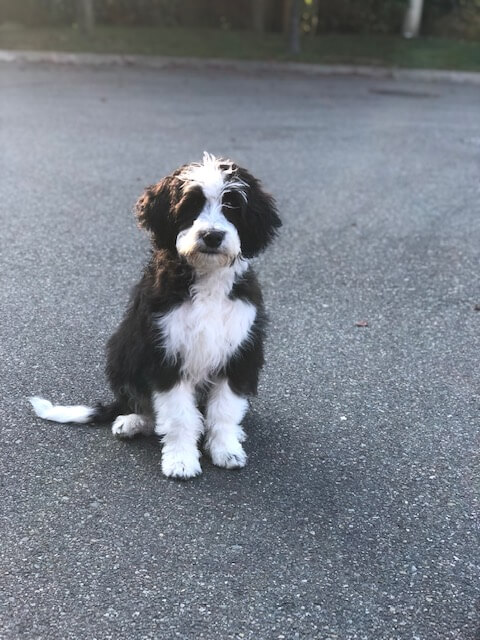 IMG_2882 IMG_2882 img